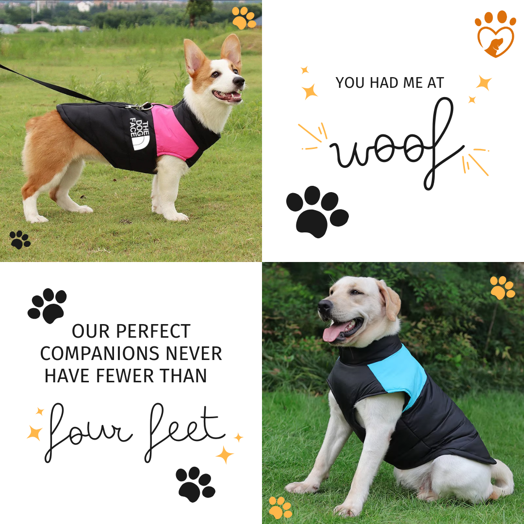 Collage of waterproof dog jackets in various colours and styles, showcasing features like high collars, chest and belly coverage, and secure lead connection and comfortable protection against rain and wind.