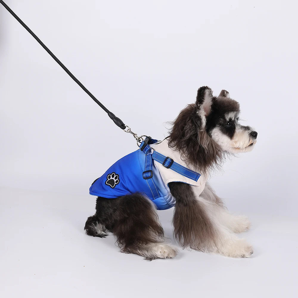 Small Dog Waterproof Jacket with inbuilt Harness