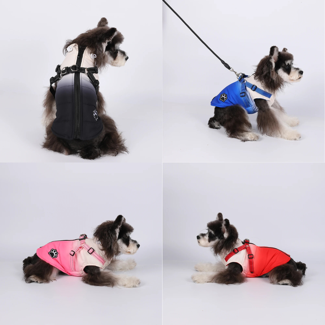 Small Dog Waterproof Jacket with inbuilt Harness