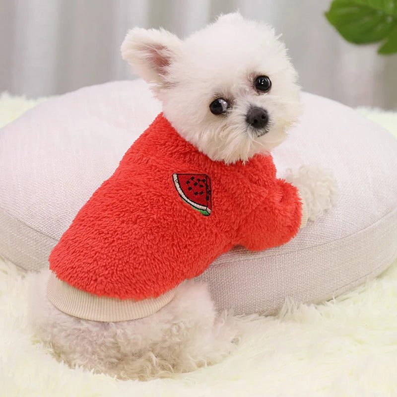 Small Dog Cosy Jumper