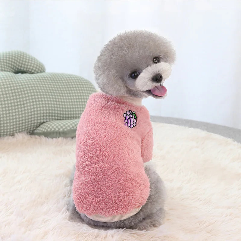 Small Dog Cosy Jumper