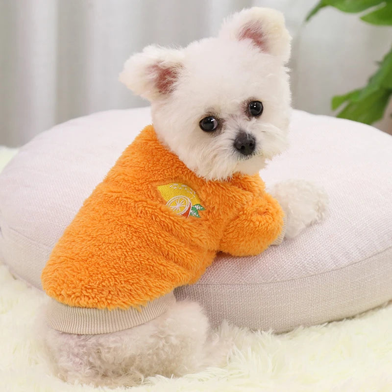 Small Dog Cosy Jumper